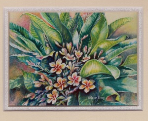 16 Frangipani by Eileen Bass - Watercolour