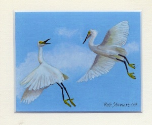 46 Is this the Way to Amarillo? Snowy Egrets by Rob Stewart - Oil on Fine Canvas