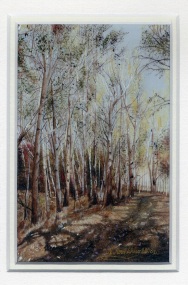 67 A Peaceful Picnic Spot, Potchefstroom by Nikolai Loukakis - Oil on Polymin (Highly Commended)