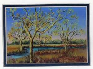 9 Yellow Fever Tree by Joy Gibson - Oil on Canvas Board