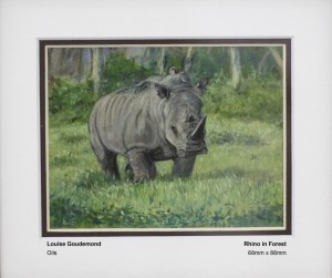 goudemond-louise-rhino-in-forest