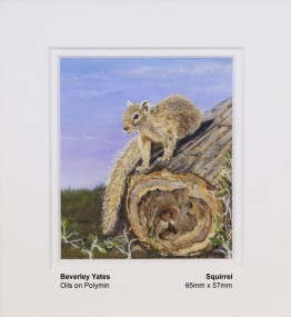 yates-beverley-squirrel