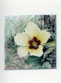 20 Wild Hibiscus by Sally Townshend in Watercolour