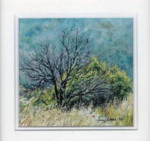 27 Burnt Tree in the Pilansburg by Carrol Evans in Watercolour and Ink