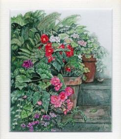 34. Summer Pots by Mary Lynn Kydd in Watercolour
